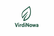 Logo VirdiNowa z oryginalnym listkiem